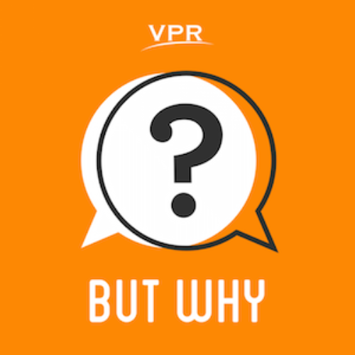 But Why Artwork Vpr Jory Raphael 20160401