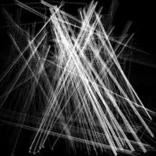 thicket-thumbnail