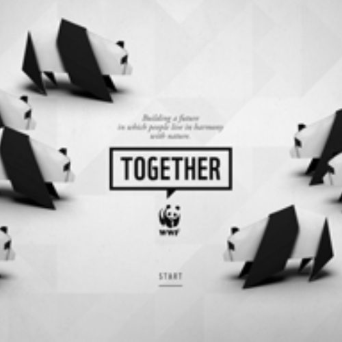 wwf-together-thumbnail