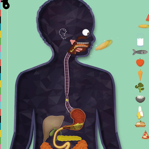 a-new-human-body-update-treats-stings-thumbnail