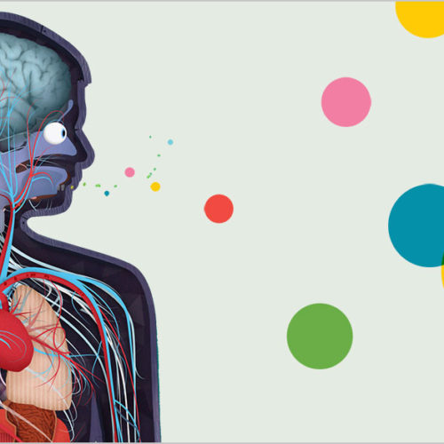six-fun-activities-about-the-human-body-for-you-your-kids-thumbnail