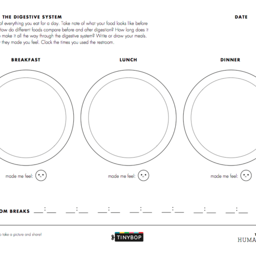 young-explorers-jot-away-activities-for-the-human-body-thumbnail