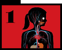 The Human Body press kit
